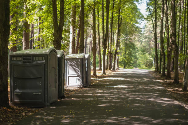 Best Luxury portable toilet rental  in Steelville, MO